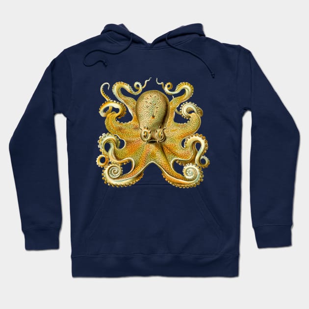 Giant Octopus by Ernst Haeckel Hoodie by MasterpieceCafe